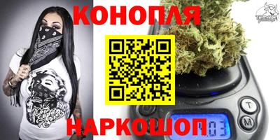 стафф Донской
