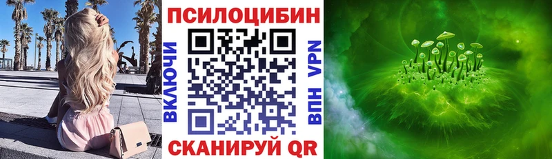Псилоцибиновые грибы MAGIC MUSHROOMS  shop клад  Новочеркасск  OMG как войти 