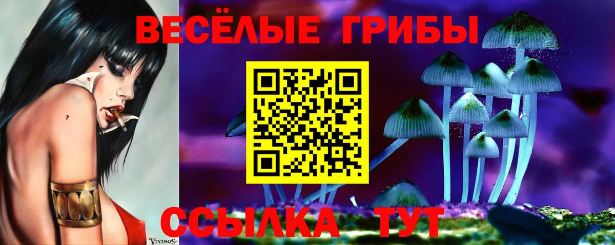 Псилоцибиновые грибы Magic Shrooms Новочеркасск